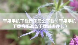 苹果手机下载音乐怎么下载（苹果手机下载音乐怎么下载到内存卡）