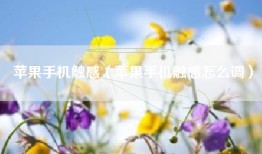 苹果手机触感（苹果手机触感怎么调）