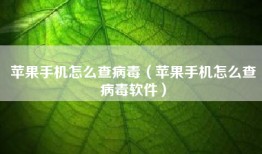 苹果手机怎么查病毒（苹果手机怎么查病毒软件）