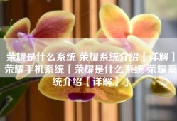 荣耀是什么系统 荣耀系统介绍【详解】荣耀手机系统「荣耀是什么系统 荣耀系统介绍【详解】」