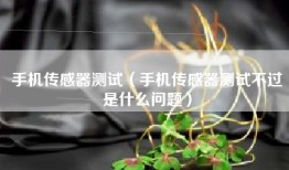 手机传感器测试（手机传感器测试不过是什么问题）