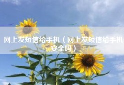 网上发短信给手机（网上发短信给手机安全吗）