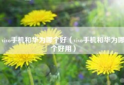 vivo手机和华为哪个好（vivo手机和华为哪个好用）