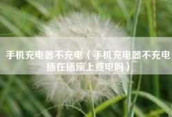 手机充电器不充电（手机充电器不充电插在插座上费电吗）