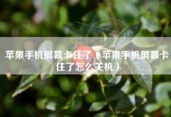 苹果手机屏幕卡住了（苹果手机屏幕卡住了怎么关机）