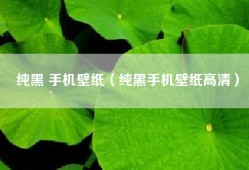 纯黑 手机壁纸（纯黑手机壁纸高清）