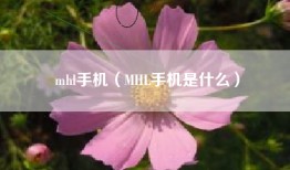 mhl手机（MHL手机是什么）