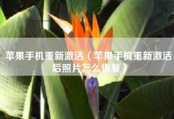 苹果手机重新激活（苹果手机重新激活后照片怎么恢复）