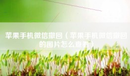 苹果手机微信撤回（苹果手机微信撤回的图片怎么查看）