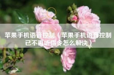 苹果手机语音控制（苹果手机语音控制已不再听指令怎么解决）