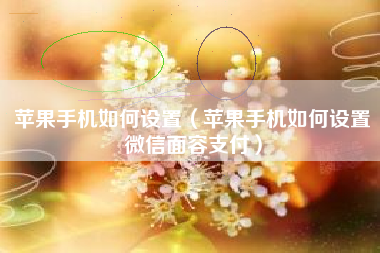 苹果手机如何设置（苹果手机如何设置微信面容支付）