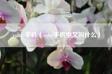 volte 手机（volte手机中文叫什么）